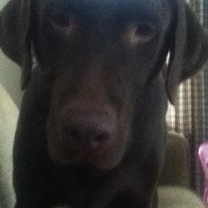 Meet your Posher, Zach